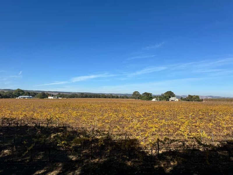 Personal Tours - Practical Details and Booking