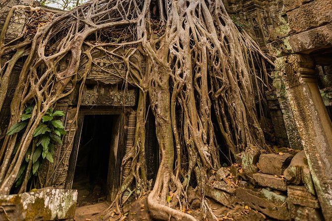 Personalised Angkor Wat Day Tour by an Air-conditioned Car - Pickup and Transportation Details