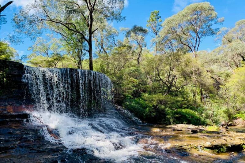 Personalised Blue Mountains Tour: Luxury Vehicles & Insights - FAQs