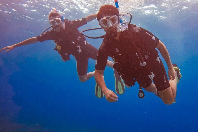 Personalized Discover Scuba Dive Experience in Curaçao - The Experiences Strengths and Slight Drawbacks