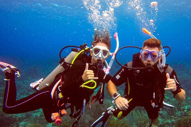 Personalized Discover Scuba Dive Experience in Curaçao - Who Should Consider This Tour?