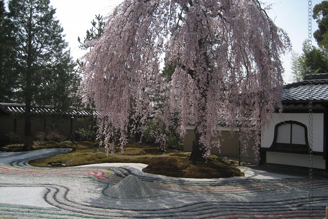 Personalized Half-Day Tour in Kyoto for Your Family and Friends. - Wander Through the Bamboo Forest Street