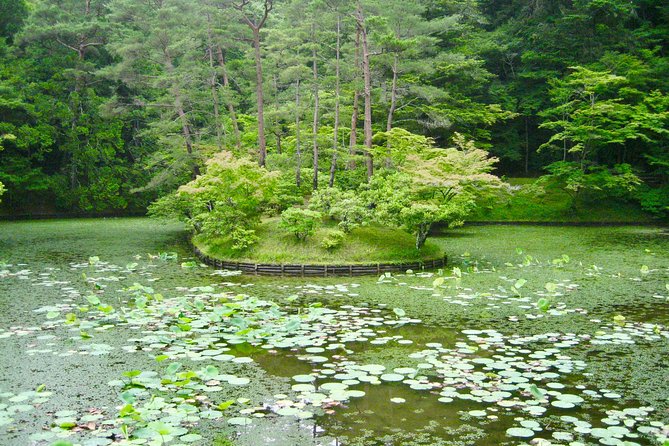 Personalized Half-Day Tour in Kyoto for Your Family and Friends. - Transportation and Logistics