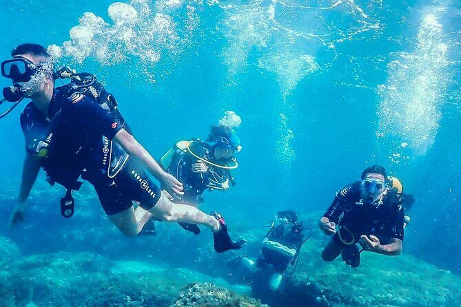 Personalized Snorkeling and Diving Experience in Riviera Maya - Key Points