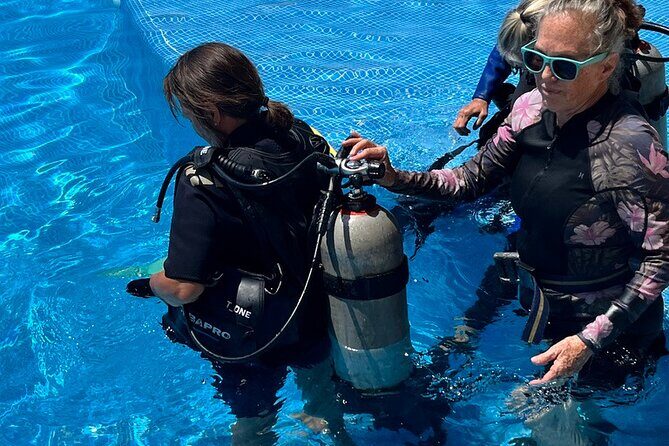 Personalized Snorkeling and Diving Experience in Riviera Maya - Who Will Love This Tour?