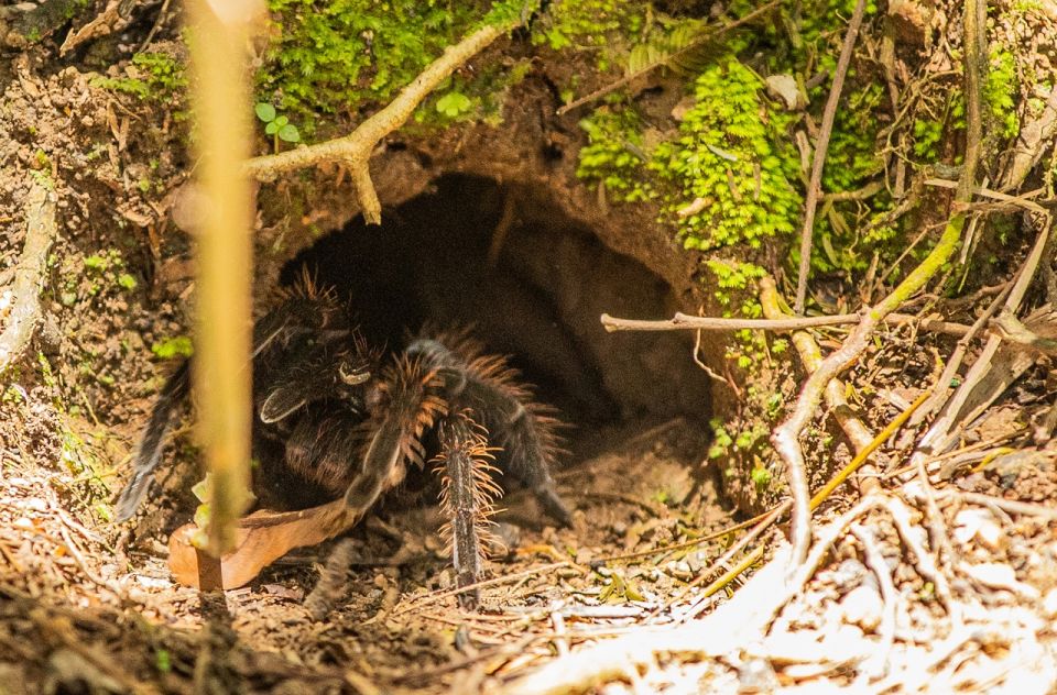 Personalized Tours: Tambopata Adventure Rainforest 4d/3n - Visiting Recommendations