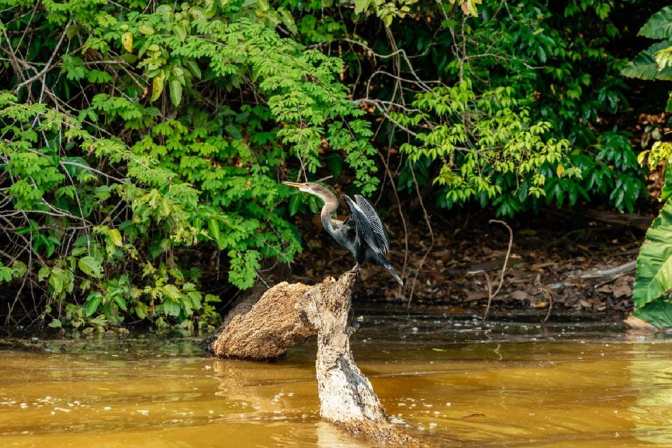 Personalized Tours: Tambopata Adventure Rainforest 4d/3n - Arrival and Departure