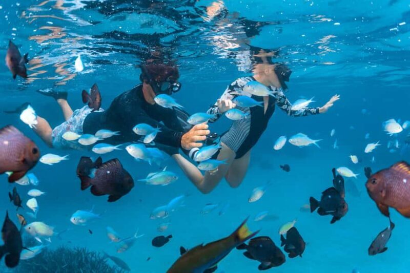 Perth: 7 Day Exmouth Explorer & Ningaloo Reef Return Perth - An In-Depth Look at the Itinerary and Highlights