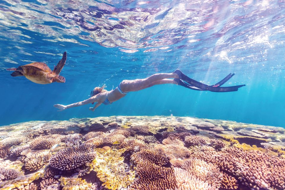 Perth: 7 Day Explorer Return Tour to Exmouth - Important Information for Participants