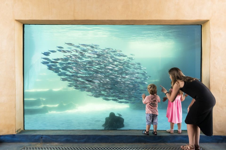 Perth: AQWA Aquarium of Western Australia Entry Tickets - Key Points
