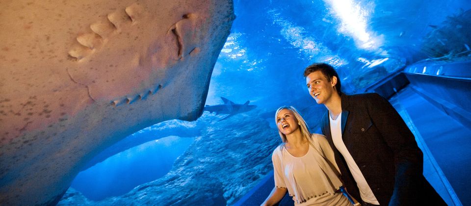 Perth: AQWA Aquarium of Western Australia Entry Tickets - Inclusions With Entry Ticket