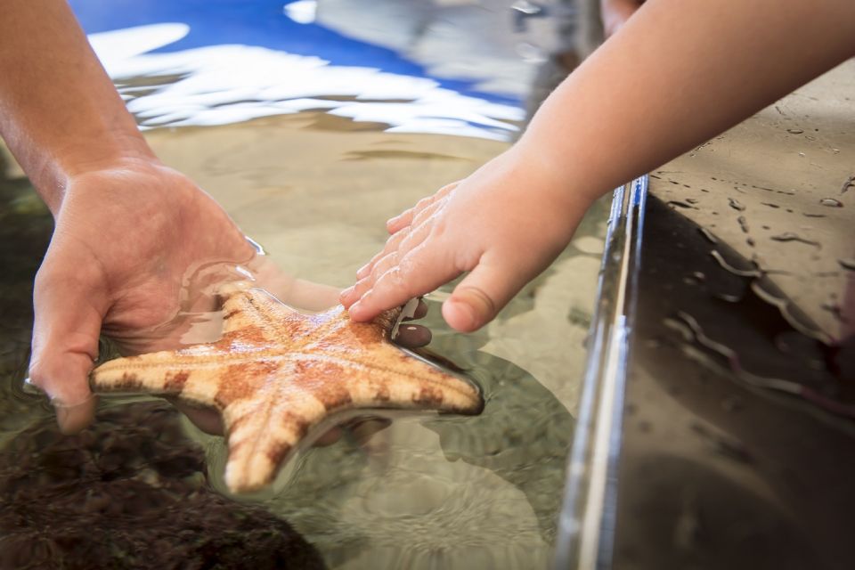 Perth: AQWA Aquarium of Western Australia Entry Tickets - Accessibility and Amenities