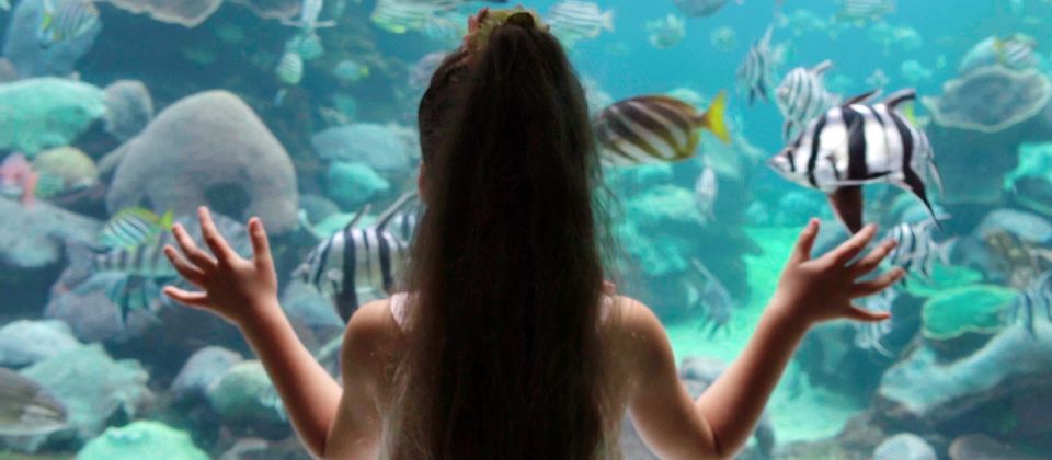 Perth: AQWA Aquarium of Western Australia Entry Tickets - Frequently Asked Questions