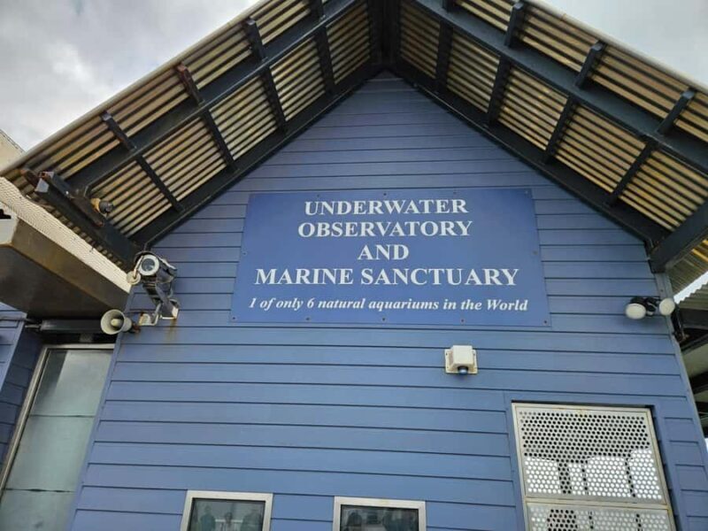 Perth: Busselton Jetty Full - Day Guided Tour - Transport and Comfort