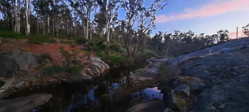 Perth: Darling Range Twilight Wander - A Calm Escape in the Perth Hills  