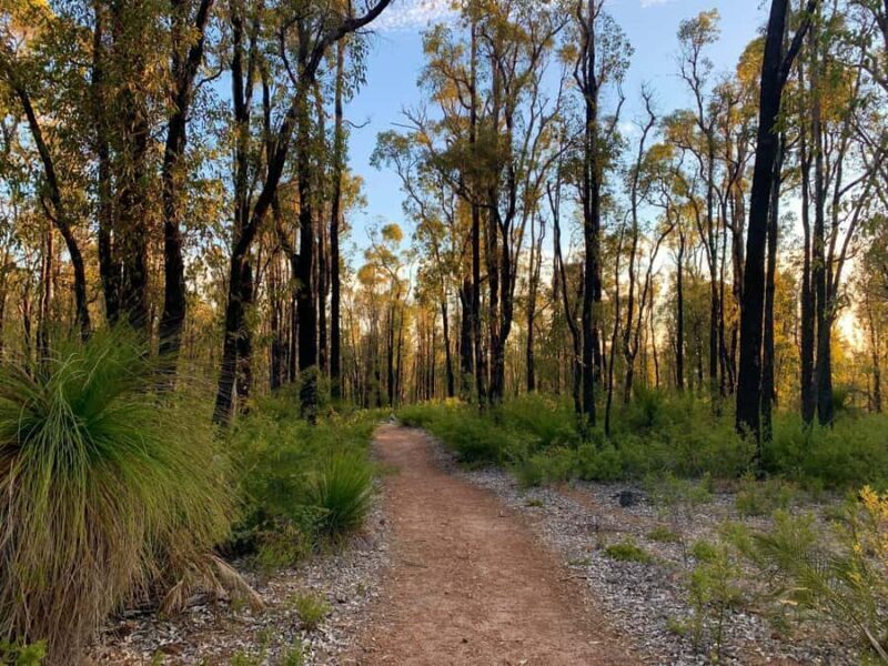 Perth: Darling Range Twilight Wander - FAQ  