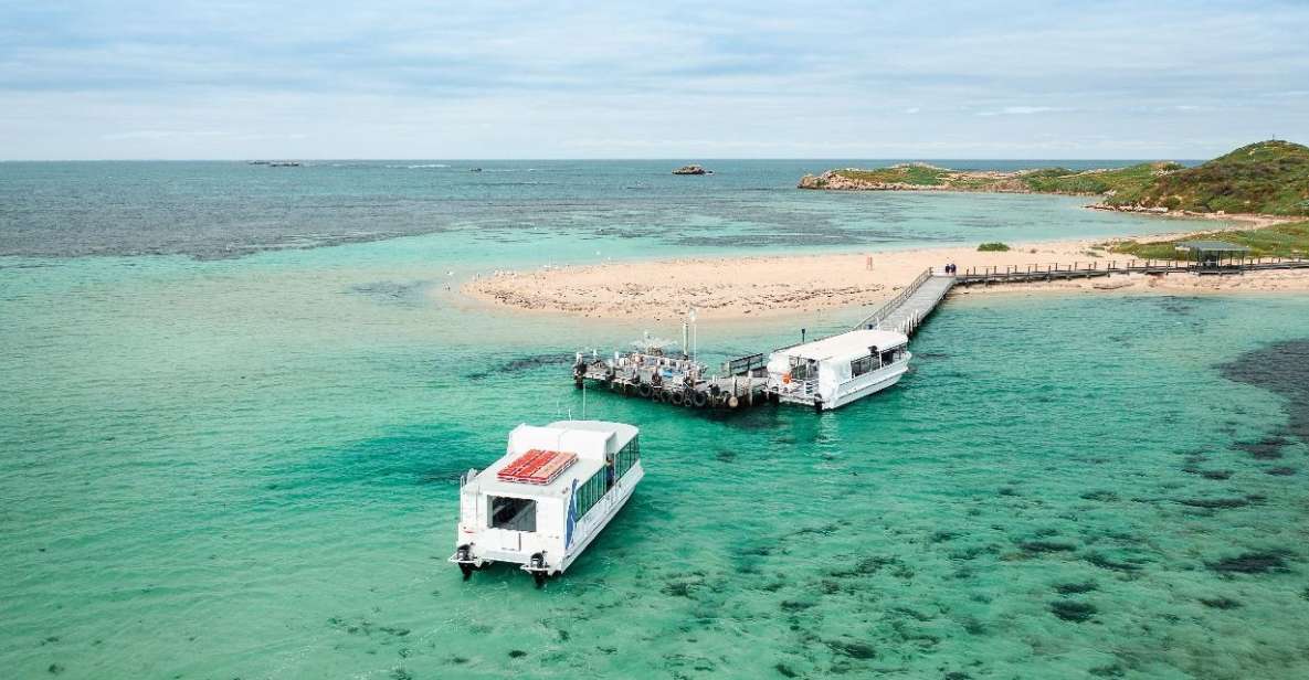 Perth: Dolphin and Wildlife Cruise With Fish & Chips - Key Points