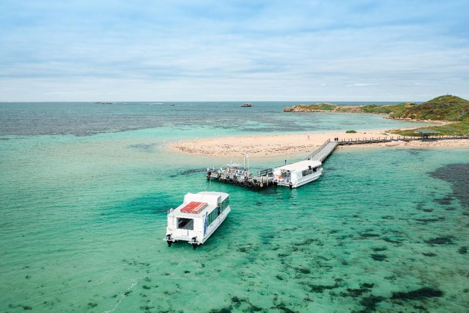 Perth: Dolphin and Wildlife Cruise With Fish & Chips - Booking Information