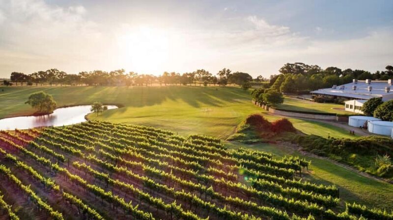 Perth: Full Day Swan Valley Cruise & Wine Tasting With Lunch - Key Points