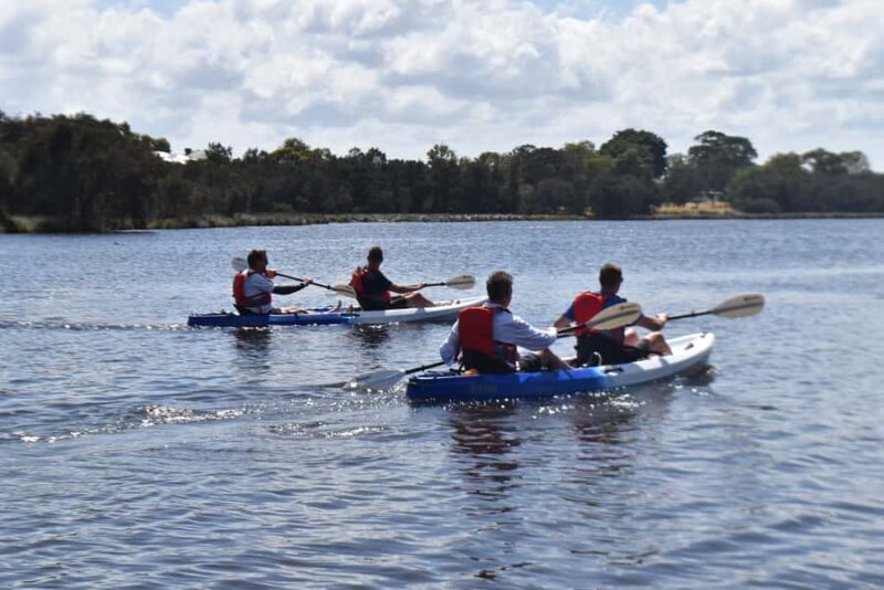 Perth: Guided Kayak Tour around Canning River Wetlands - An Inside Look at the Canning River Wetlands Kayak Tour