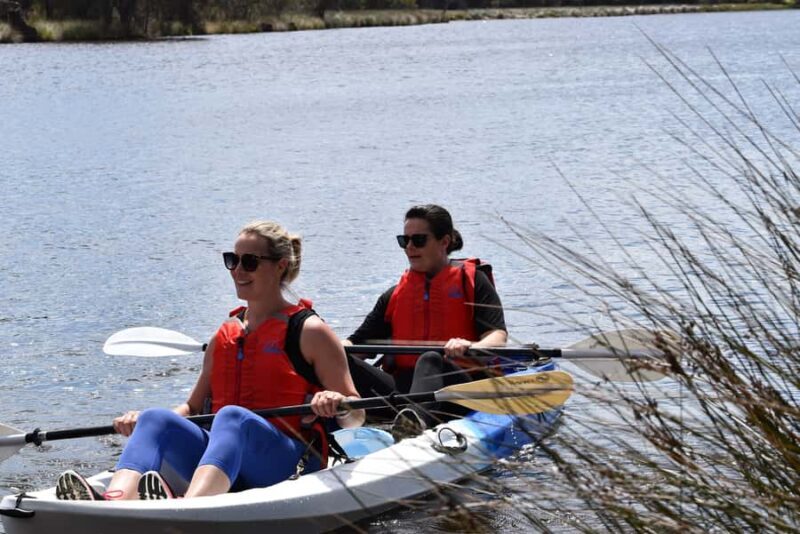 Perth: Guided Kayak Tour around Canning River Wetlands - The Experience from Visitors’ Perspectives