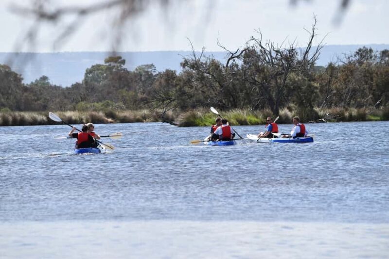 Perth: Guided Kayak Tour around Canning River Wetlands - The Sum Up
