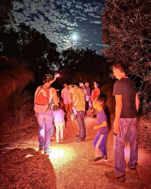Perth: Nocturnal Night Stalk Tour with WA Wildlife Encounter - Practical Details and What to Bring