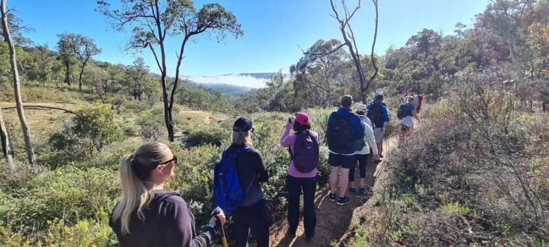 Perth: Perth Hills Hike, Wine & Dine - An Authentic Look at the Perth Hills Hike, Wine & Dine Tour