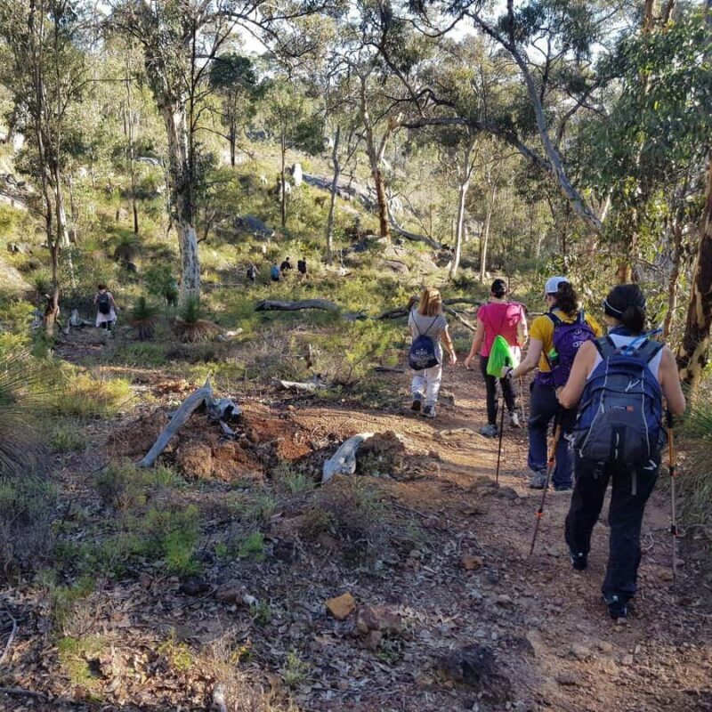 Perth: Piesse Brook Endurance Hike - Key Points