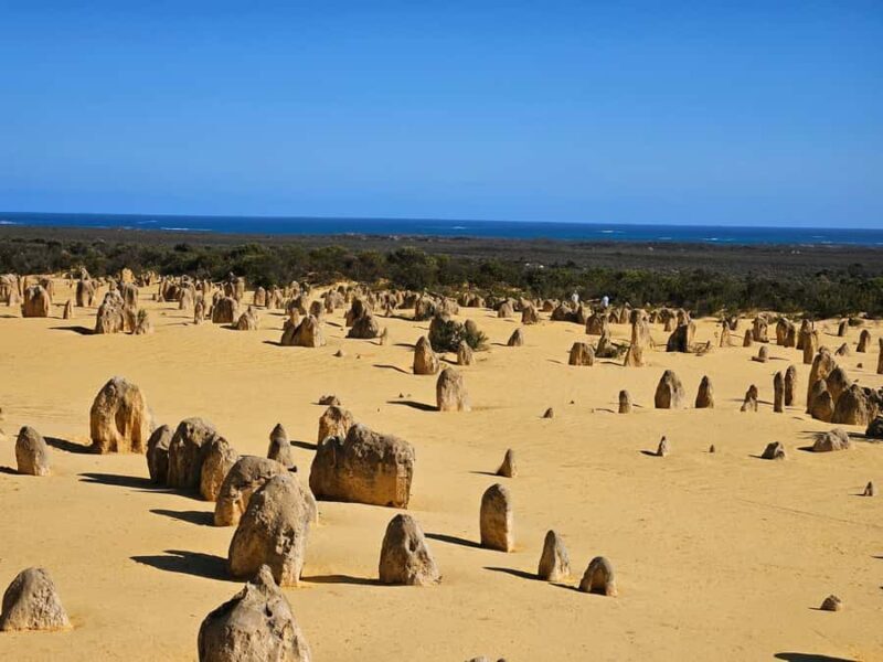 Perth: Pinnacles Desert & Sand Dunes Private Day Tour - Key Points
