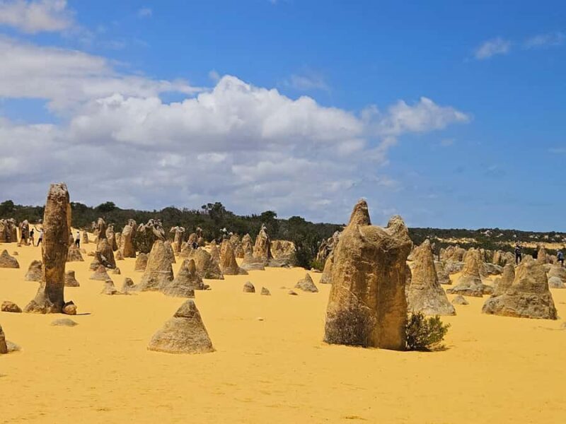 Perth: Pinnacles Desert & Sand Dunes Private Day Tour - An In-Depth Look at the Tour Experience