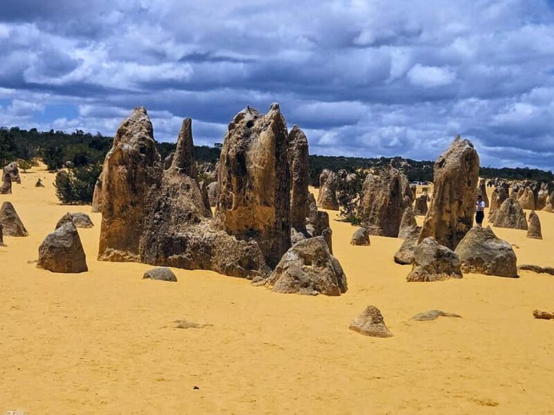 Perth: Pinnacles Desert & Sand Dunes Private Day Tour - Who Should Book This Tour?