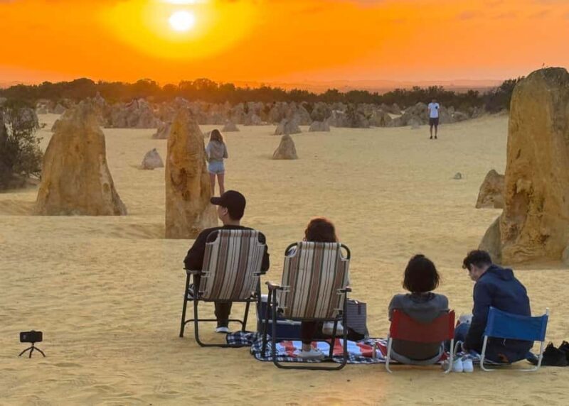 Perth: Pinnacles Stargazing, Sandboarding & Beach Kangaroos - A Practical Overview of the Tour