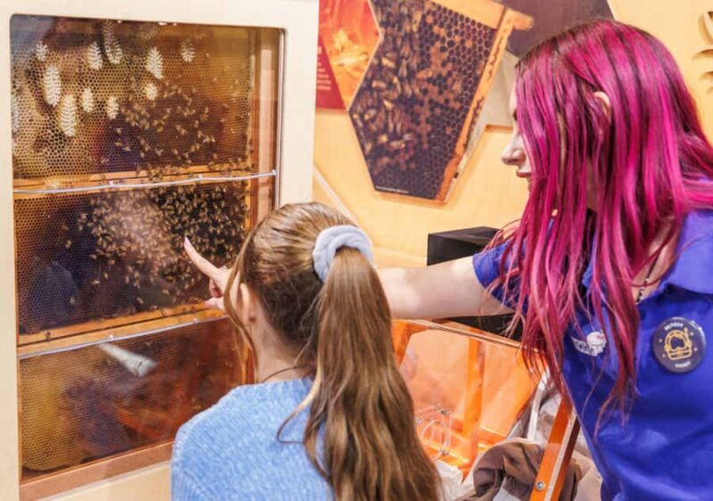 Perth: Scitech Discovery Centre All Day Entry Ticket - Final Thoughts