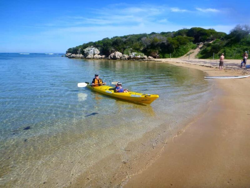 Perth: Shoalwater Islands Marine Park Sea Kayaking Tour - An Authentic Adventure in Western Australia’s Marine Park