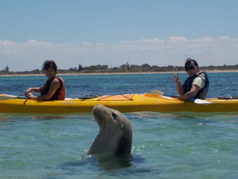 Perth: Shoalwater Islands Marine Park Sea Kayaking Tour - Why This Tour Stands Out