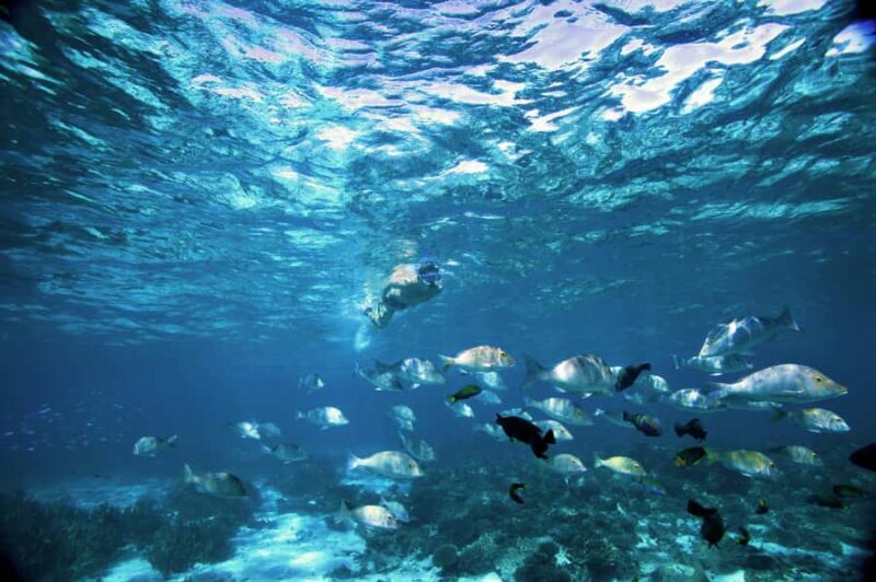 Perth to Exmouth & Return with Monkey Mia & Ningaloo Reef - Final Thoughts: Who Should Consider This Tour?