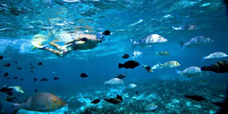 Perth to Exmouth with Monkey Mia & Ningaloo Reef - Key Points