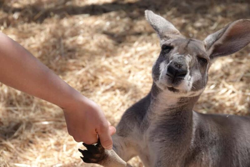 Perth to Exmouth with Monkey Mia & Ningaloo Reef - A Practical Introduction to the Tour