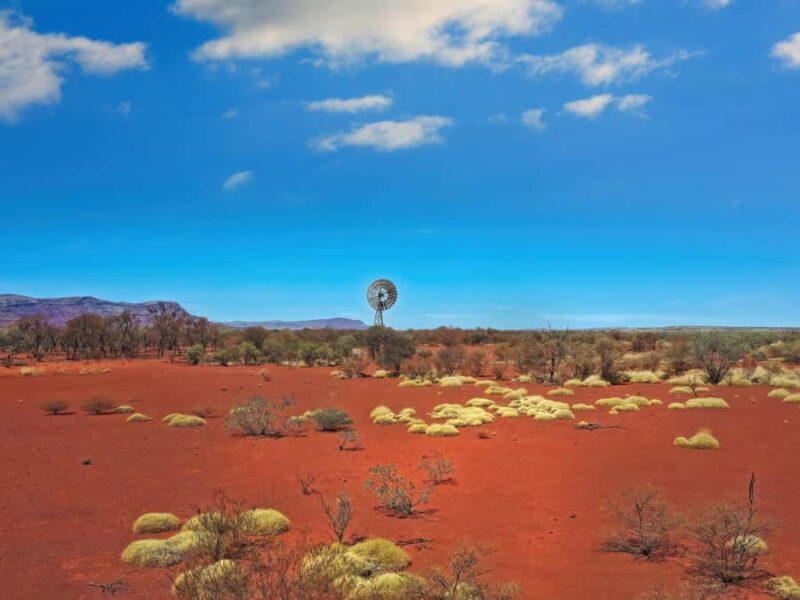 Perth to Exmouth with Monkey Mia & Ningaloo Reef - Why This Tour Stands Out