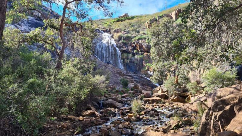 Perth: Waterfalls, Wildflowers & Wandoo Hiking Experience - Key Points