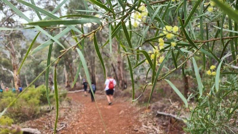 Perth: Waterfalls, Wildflowers & Wandoo Hiking Experience - Discovering Perth’s Natural Charm