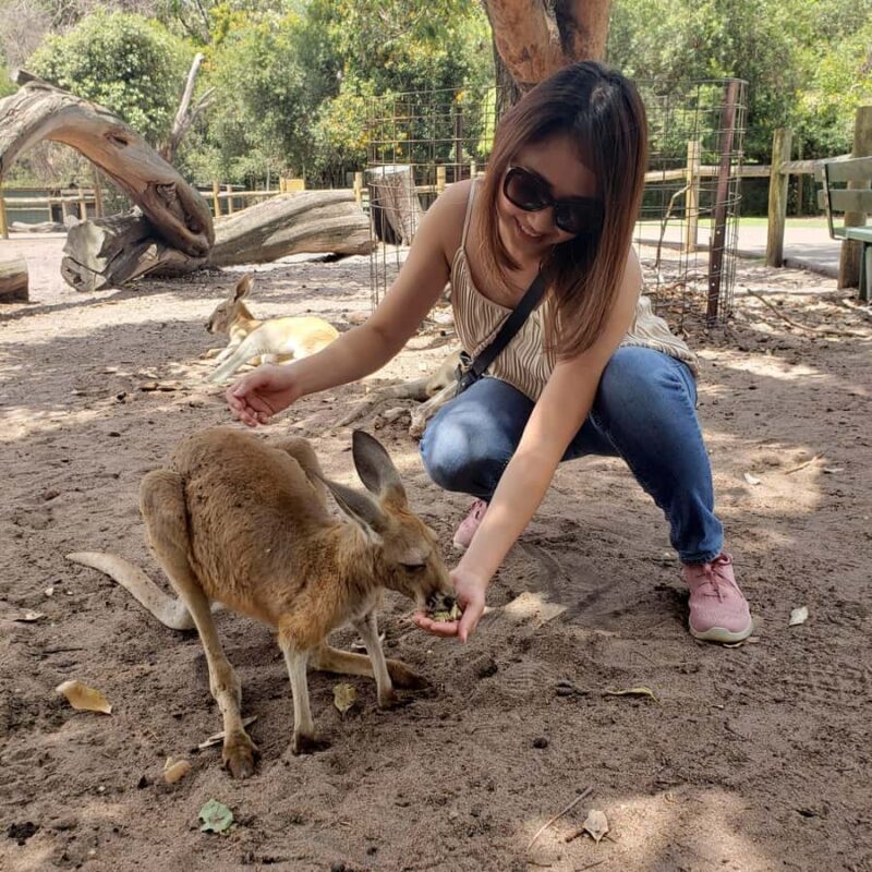 Perth Wildlife Park & City Highlights - Small Group Tours - The Value of This Tour