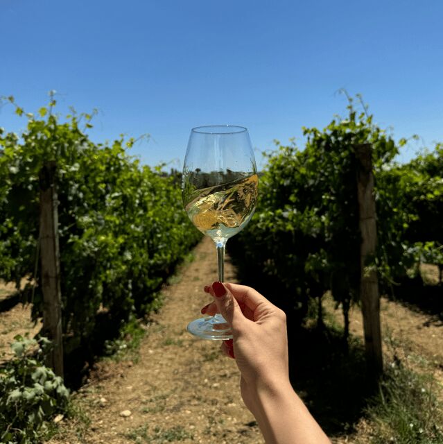 Perugia: Bike Tour and Wine Tasting in the Vineyards - Who Will Love This Tour?