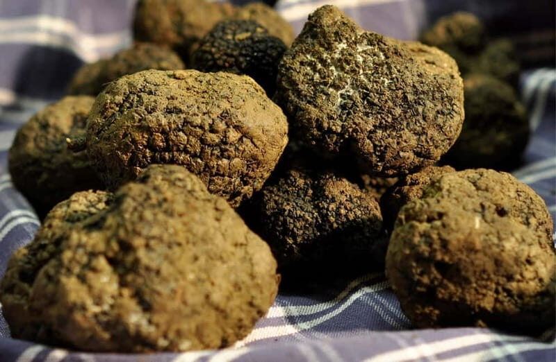 Perugia: Truffle Tasting & Museum Tour in Umbria - FAQs