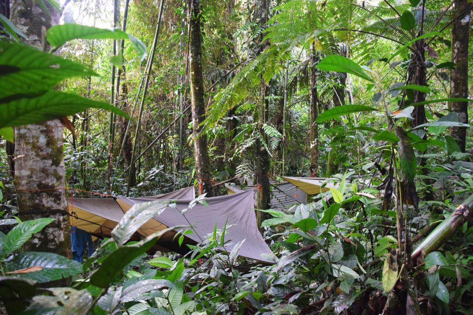 Peruvian Amazon Rainforest Hiking and Rafting Guide - Exclusions