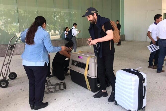 PET FRIENDLY Private Transfer Cancun - Playa del Carmen - The Booking and Arrival Process