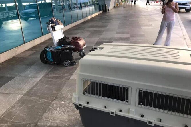 PET FRIENDLY Private Transfer Cancun - Playa del Carmen - The Journey from Cancun to Playa del Carmen