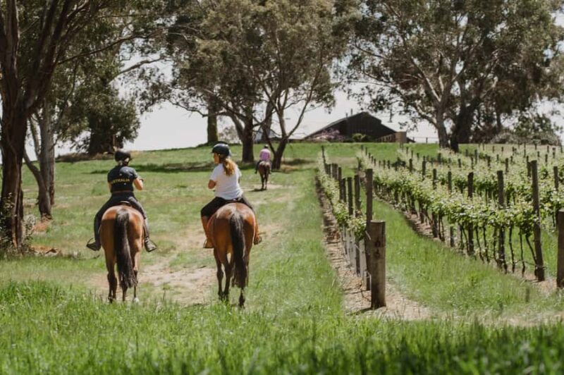 Petaluma: Horseback Riding and Wine Tasting Tour - Final Thoughts: Is This the Right Experience for You?