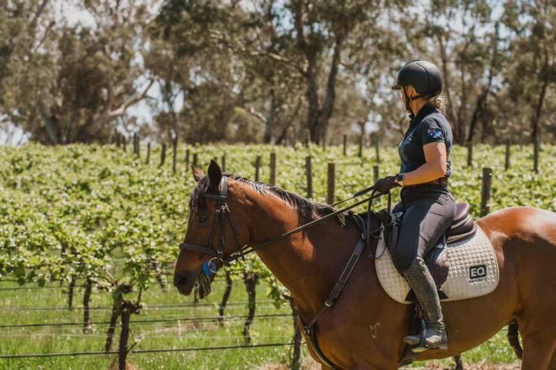 PETALUMA: VIP Equestrian & Private Wine Lunch with Olympian - An Authentic and Engaging Experience in the Adelaide Hills